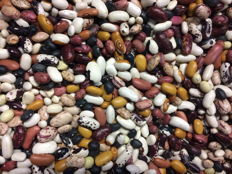 baers-beans04.jpg